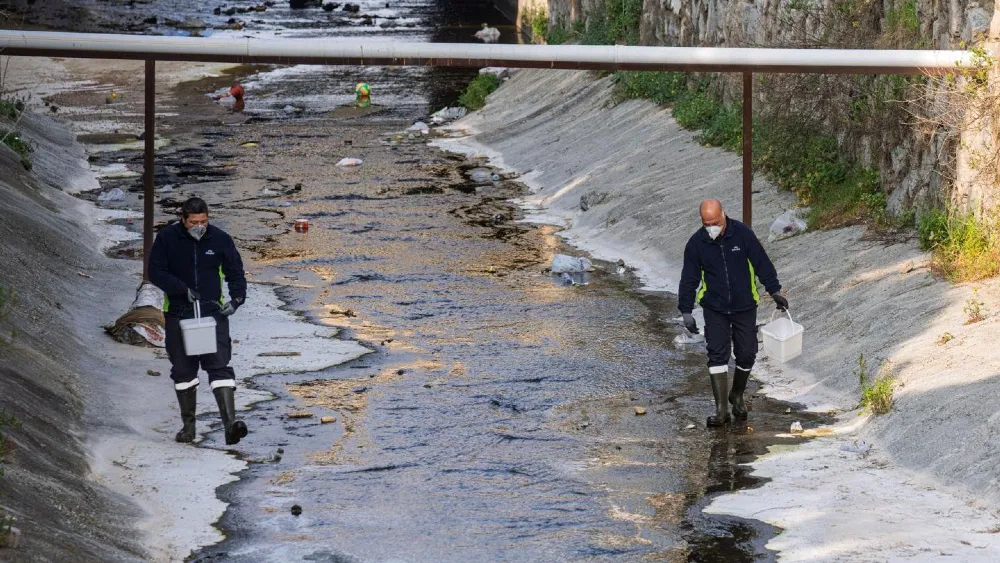 “Mevsimsel sinekler zararsız”