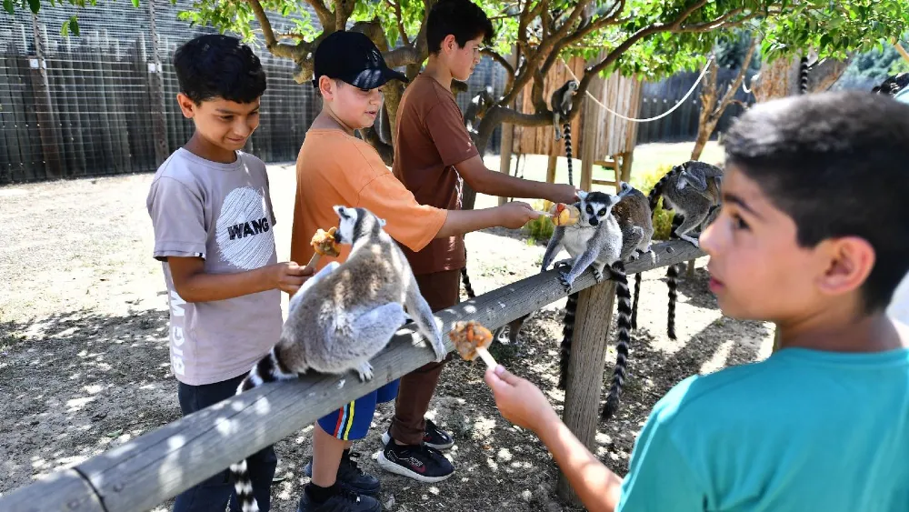 Doğal Yaşam Parkı 23 Nisan’da öğrencilere ücretsiz olacak