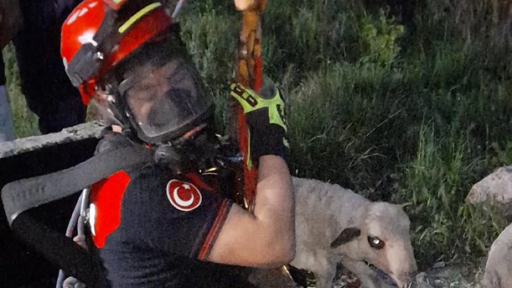 Kuyuya düşen kuzuya itfaiyeden nefes kesen kurtarma