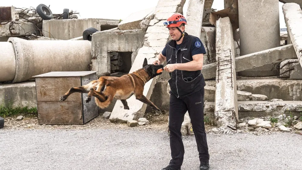 Momo enkazdan can kurtarmak için eğitiliyor