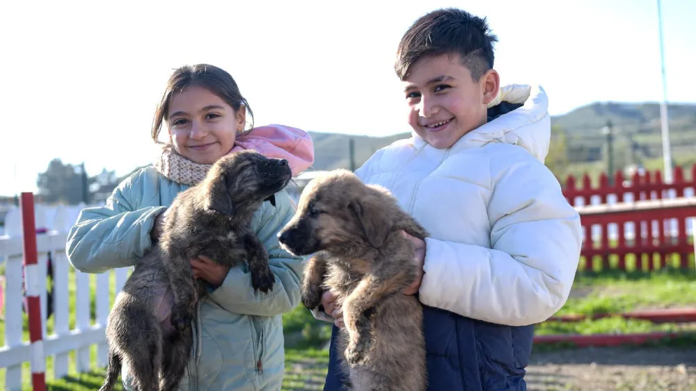 Barınaklardan 3 binin üzerinde hayvan sahiplendirildi