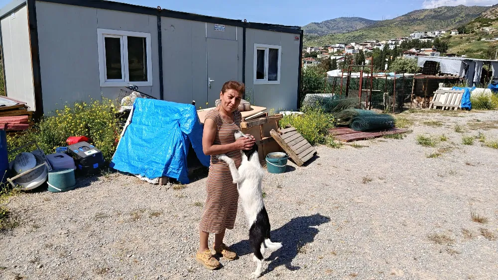 Sokaktaki canlara umut olan Zahide Bedir: Ne olur bize kucak açın!