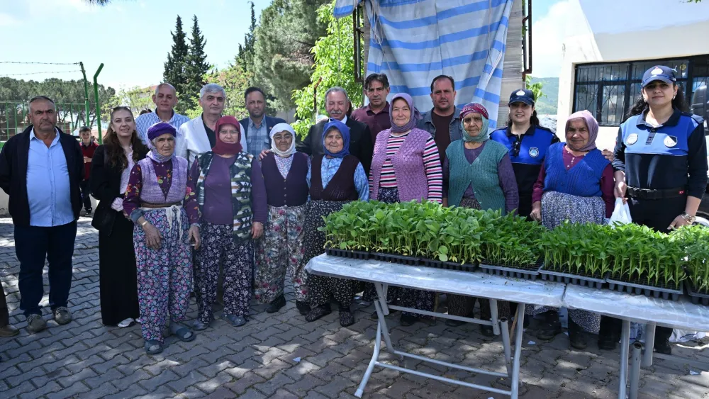 Manisa Büyükşehir’den Salihlili Üreticilere 34 Bin Sebze Fidesi