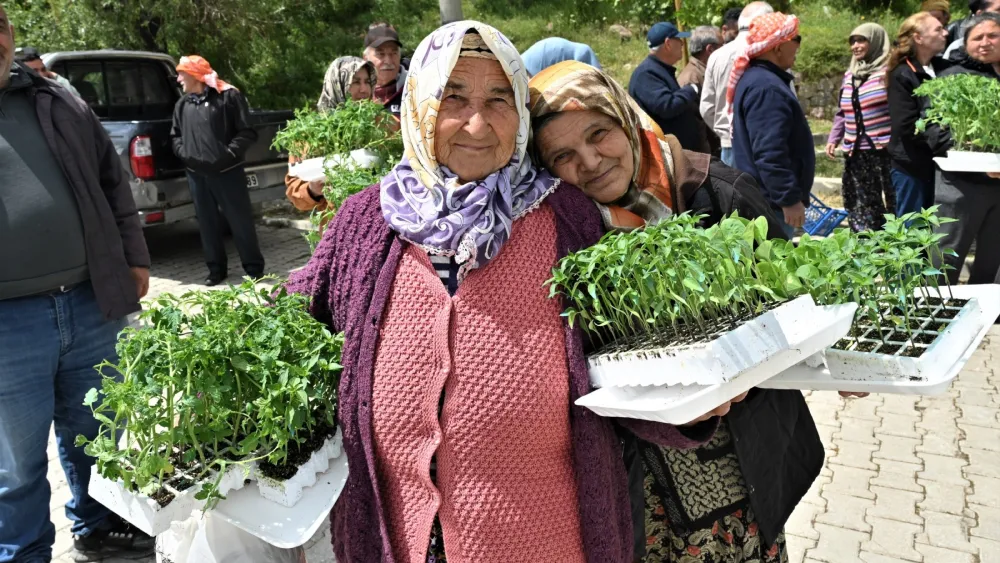 Bornova’dan üreticiye can suyu:150 bin yazlık sebze fidesi dağıtıldı