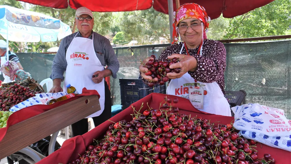 Bornova’da Kiraz Festivali Coşkusu Beşyol’u Saracak