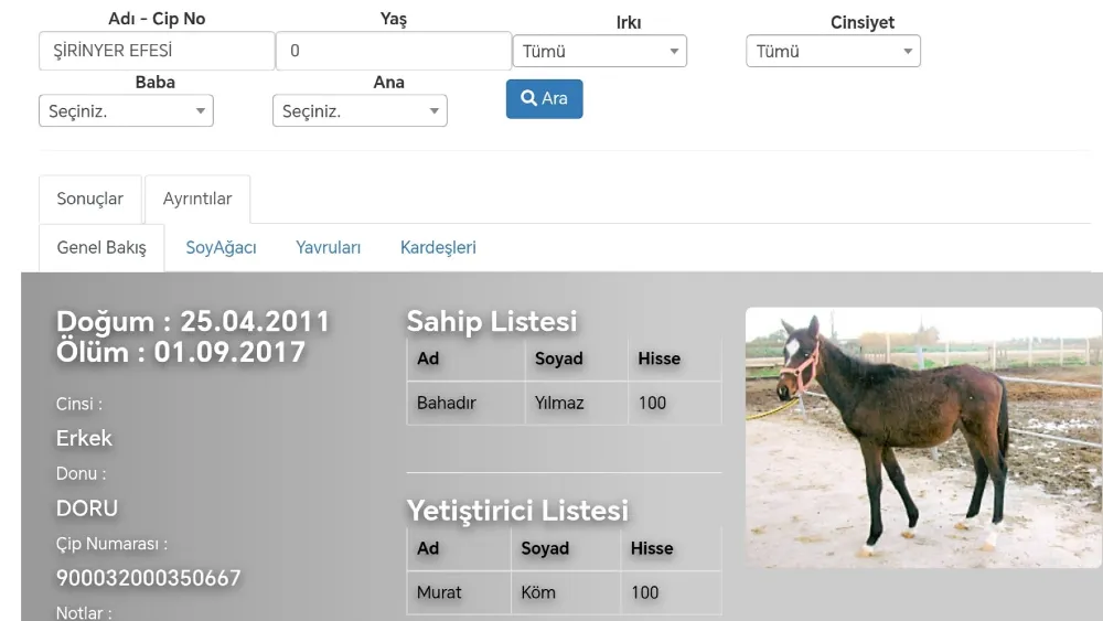 Buca soruşturmasına konu olan 13 atın 7’si ölü çıktı!