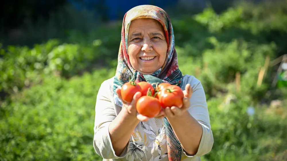 Altındağ Kent Bostanı’nda ilk hasat heyecanı