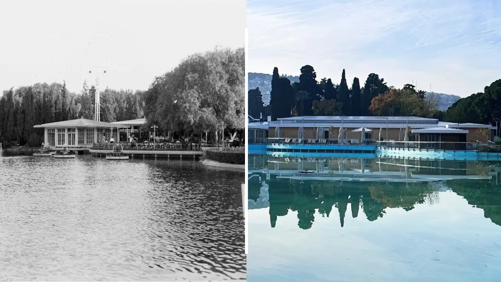 Dünden bugüne Göl Gazinosu: Kültürpark’ın asırlık çınarı geleceğe taşınıyor