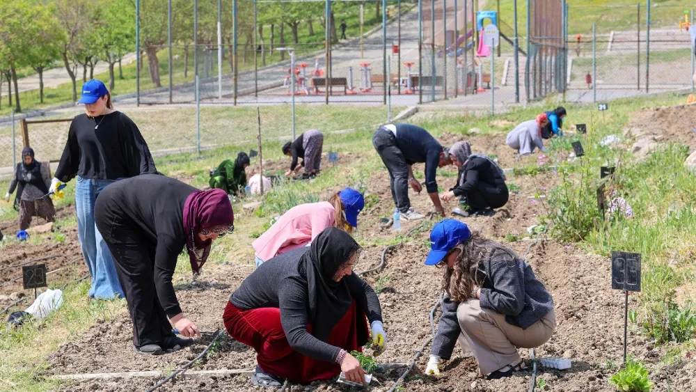 Mahalle Bostanları’nda yaz hasadı