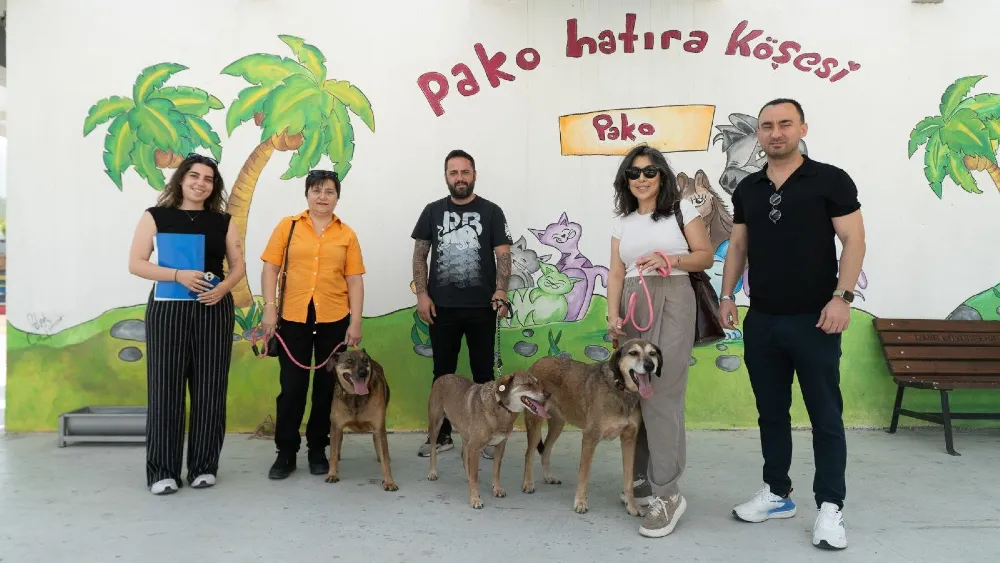 Patili Dostlar İş Başında