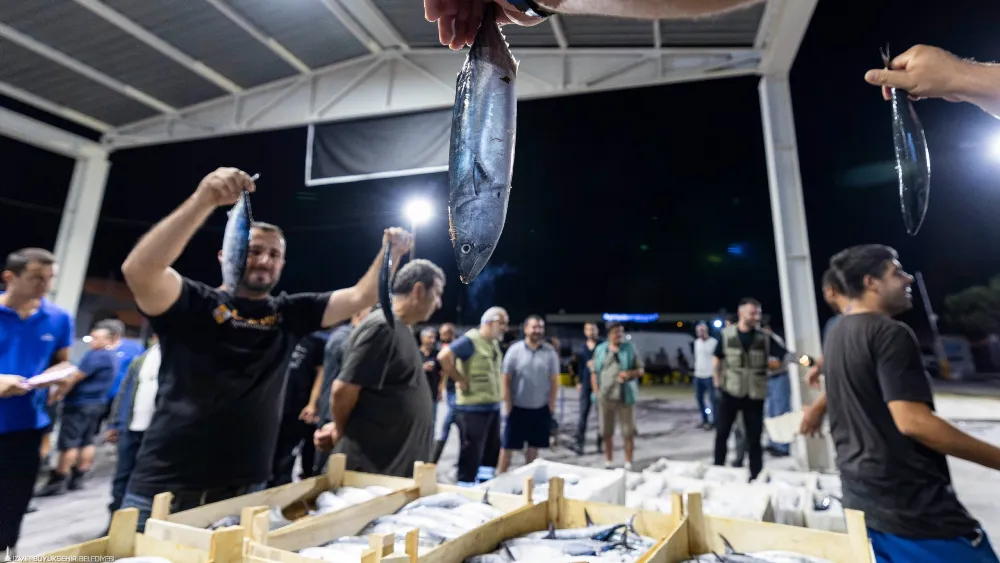 Balık halinde ilk ayda işlem hacmi 9 bin tonu aştı