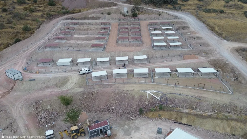 Dikili’ye tam teşekküllü sokak hayvanları kampüsü