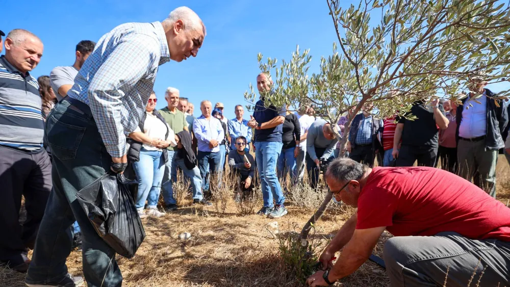 Buca’da “Sertifikalı Zeytin Budama Eğitimi” tamamlandı