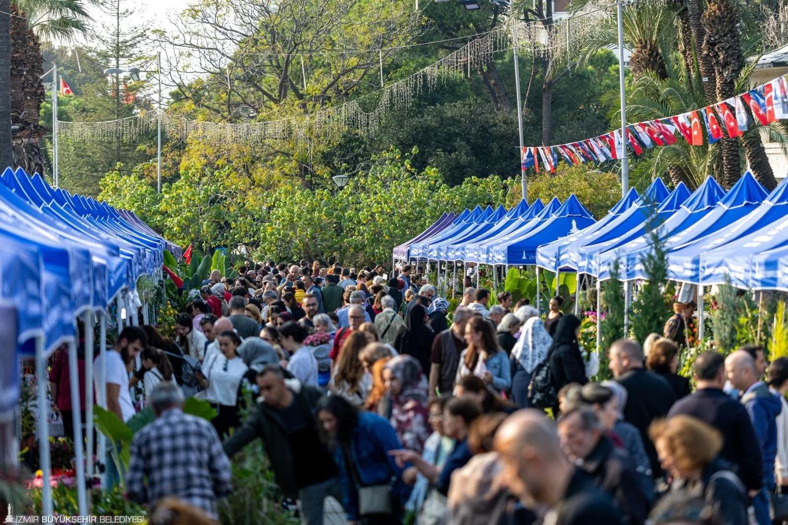 Kültürpark’ta düzenlenen 4. Balkon-Bahçe Bitkileri ve Bal Üreticileri Festivali yoğun ilgi gördü.