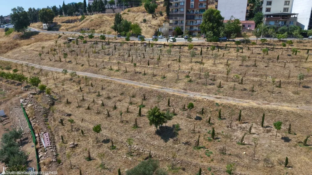 1 milyon 522 bin metrekarelik alanda 41 bin bitki toprakla buluştu
