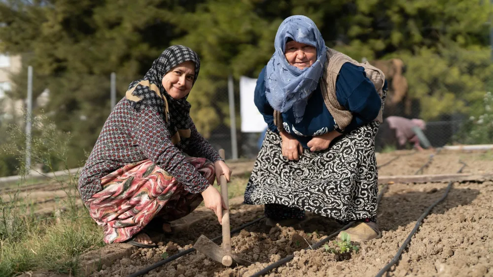 Mahalle Bostanlarında kışlık sebzeler toprakla buluşuyor