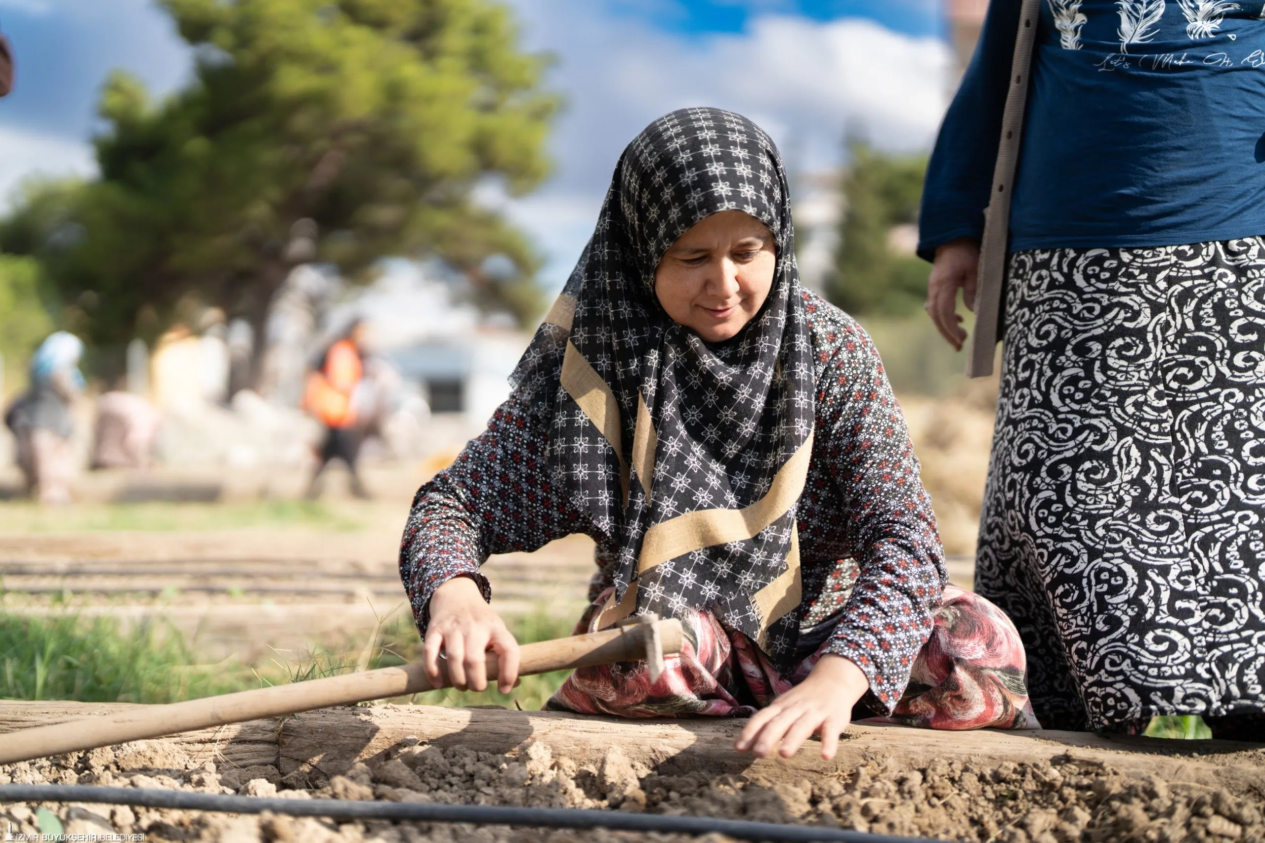 Bakla, brokoli, karnabahar ve lahana diken kadınlar, ekim ve kasım aylarında emeklerinin karşılığını hasatla alacak.